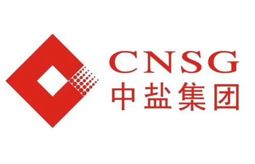 中鹽東興鹽化股份